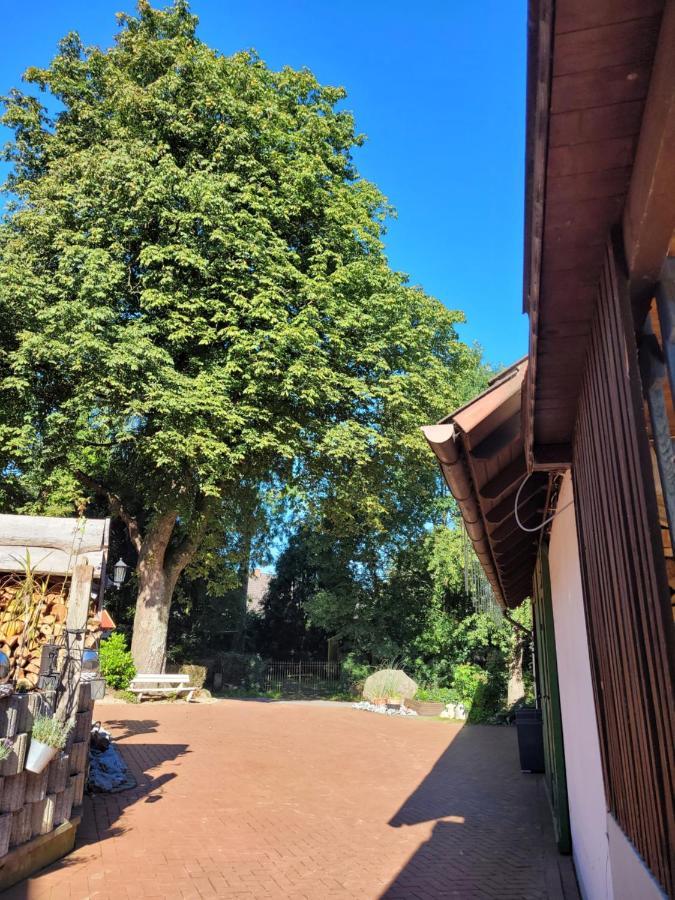 Tiemann Apartment Preussisch Oldendorf ภายนอก รูปภาพ